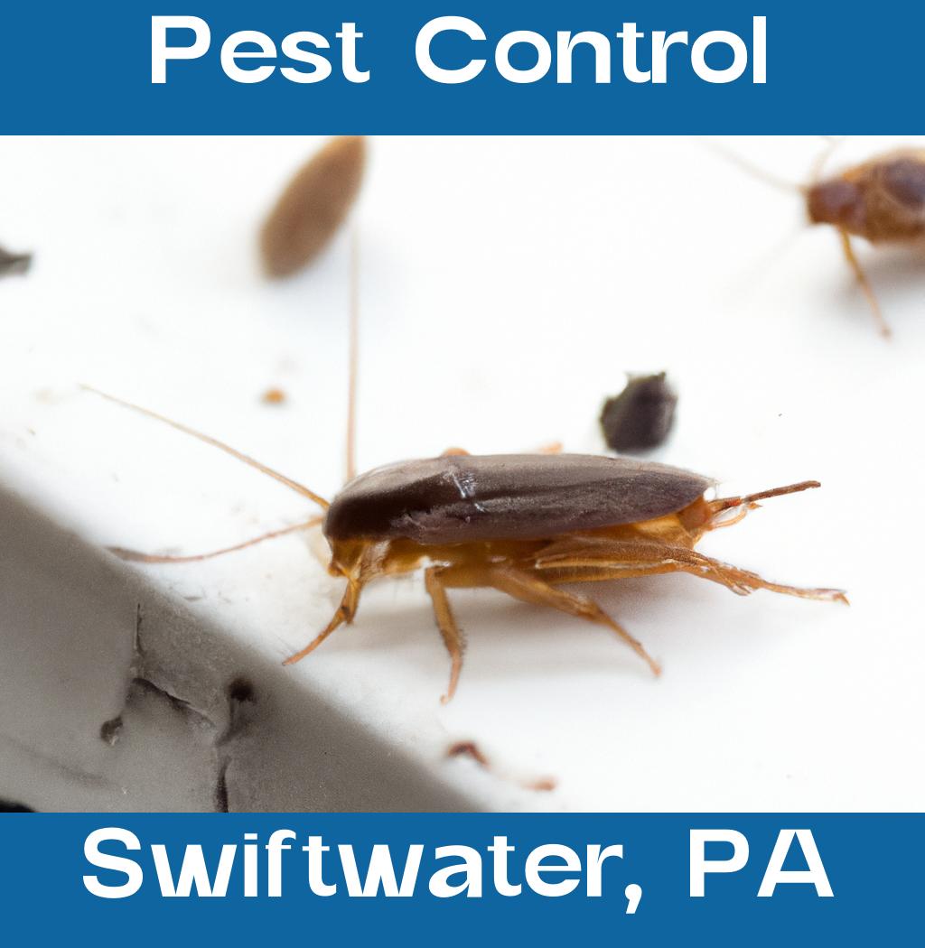 pest control in Swiftwater Pennsylvania