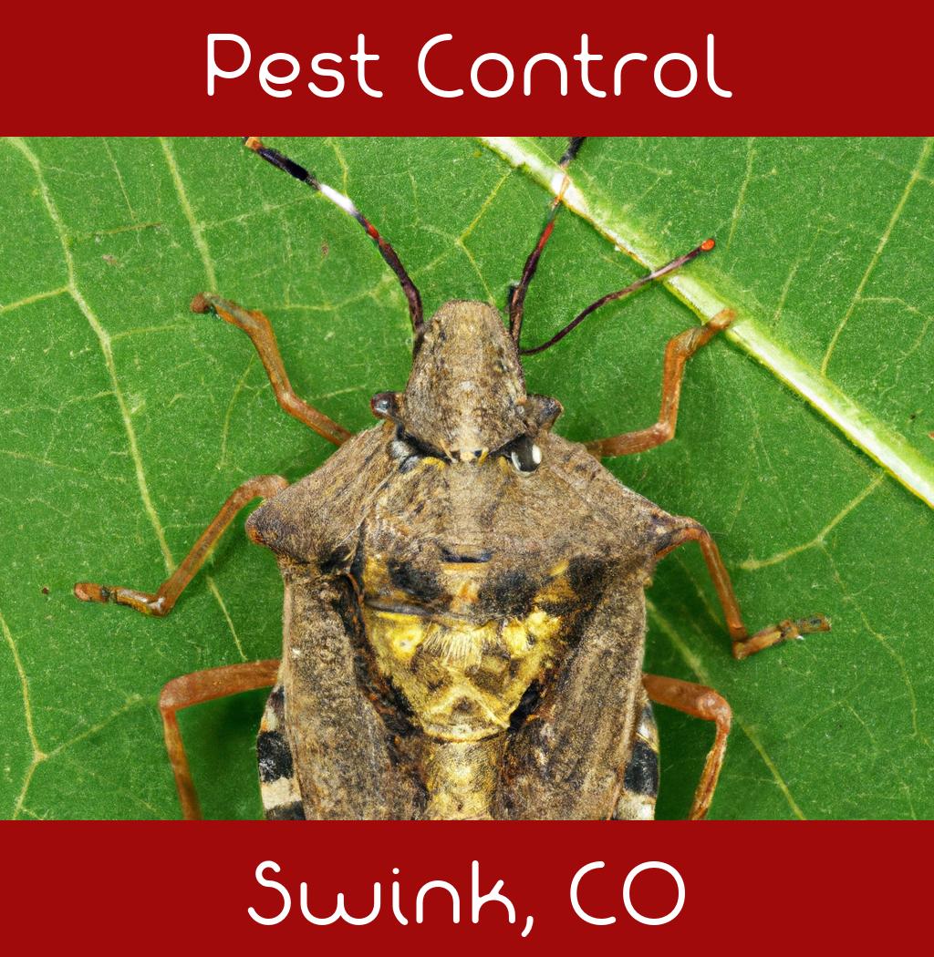pest control in Swink Colorado