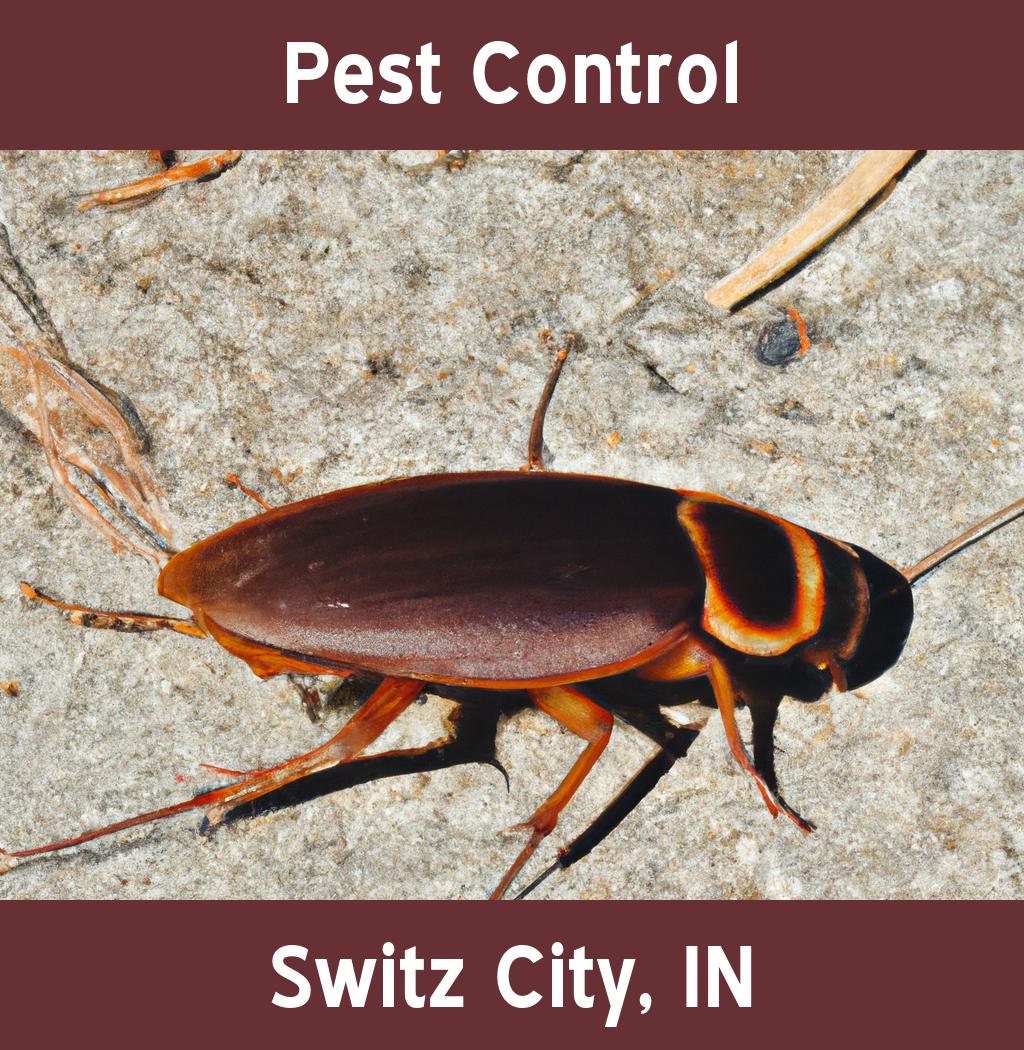 pest control in Switz City Indiana