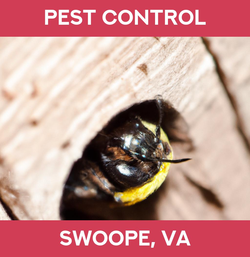 pest control in Swoope Virginia