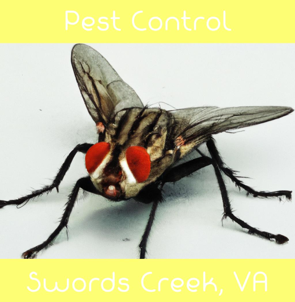 pest control in Swords Creek Virginia
