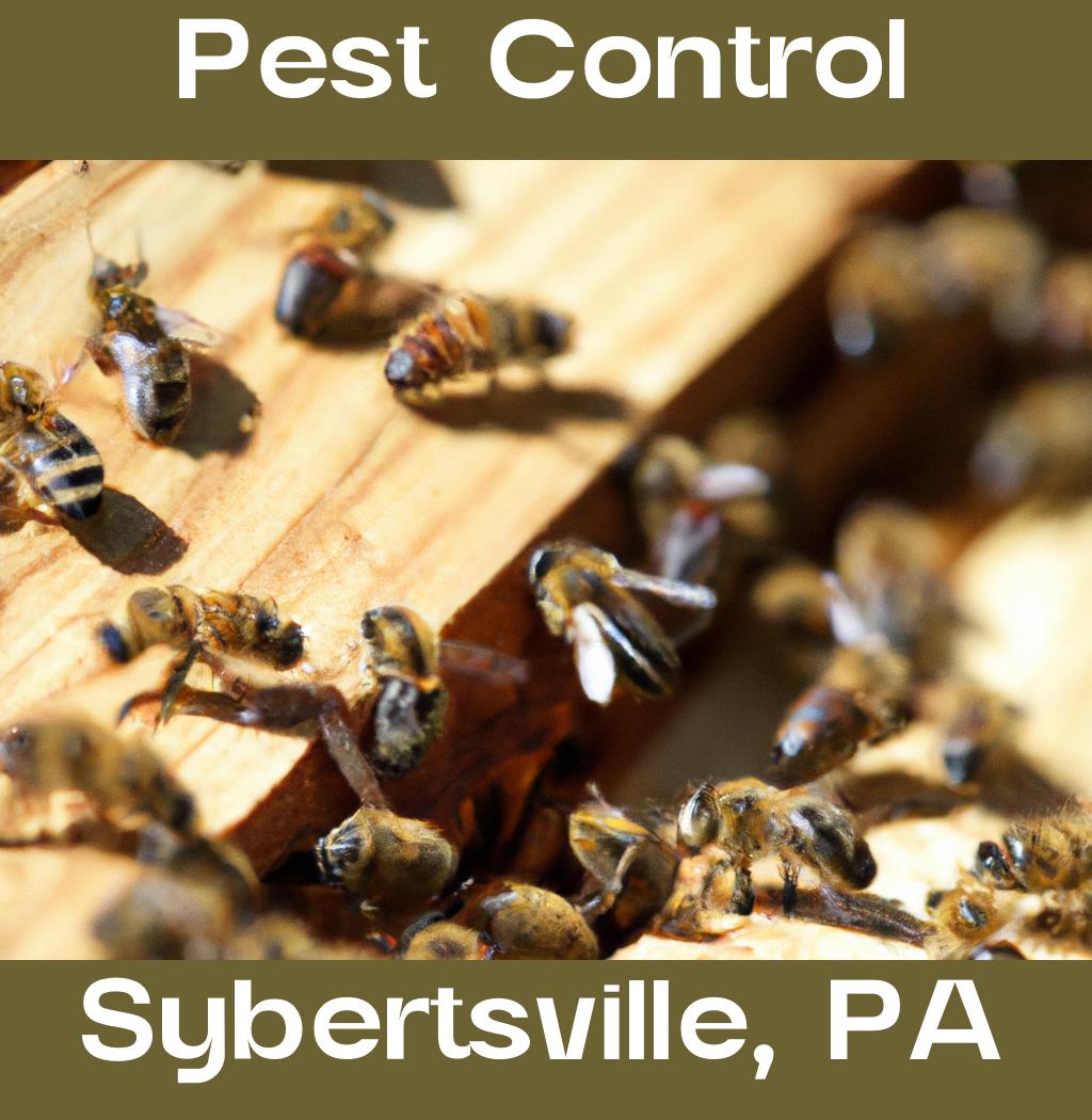 pest control in Sybertsville Pennsylvania