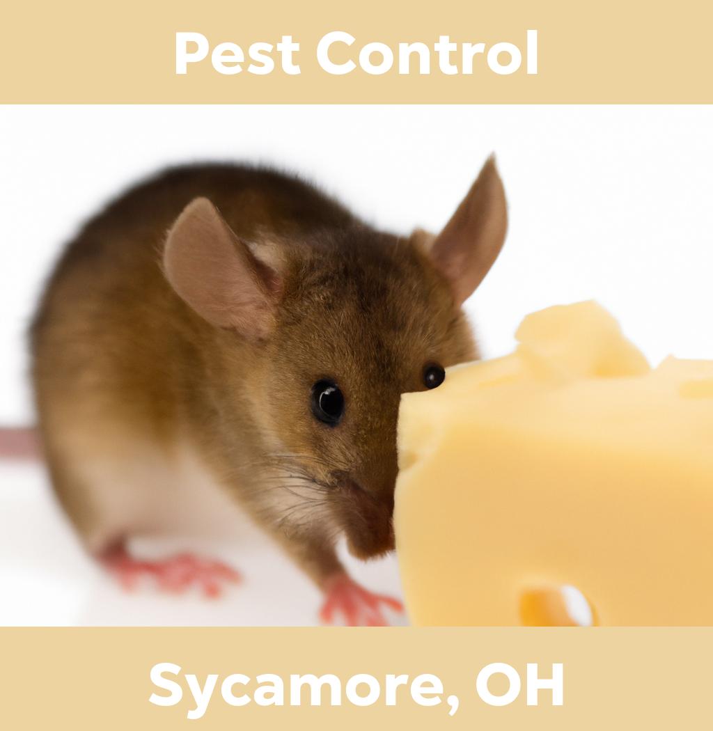 pest control in Sycamore Ohio
