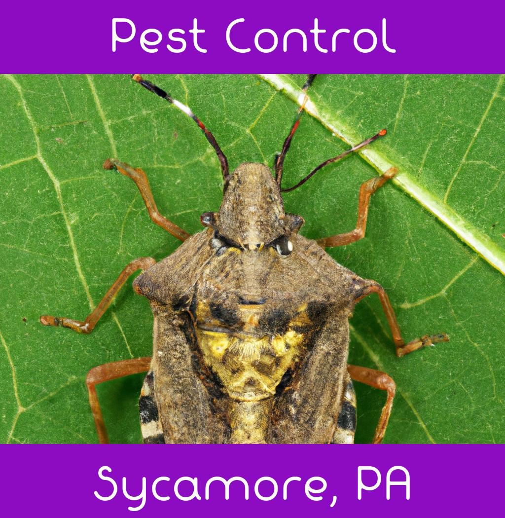 pest control in Sycamore Pennsylvania