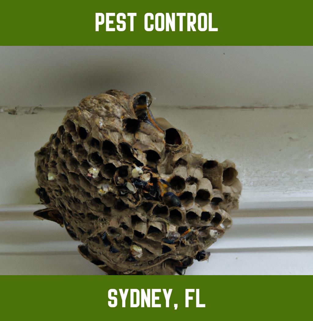 pest control in Sydney Florida