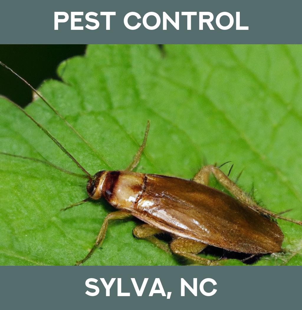 pest control in Sylva North Carolina