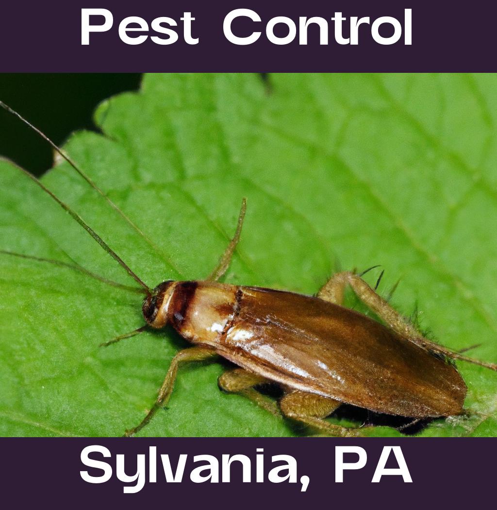 pest control in Sylvania Pennsylvania