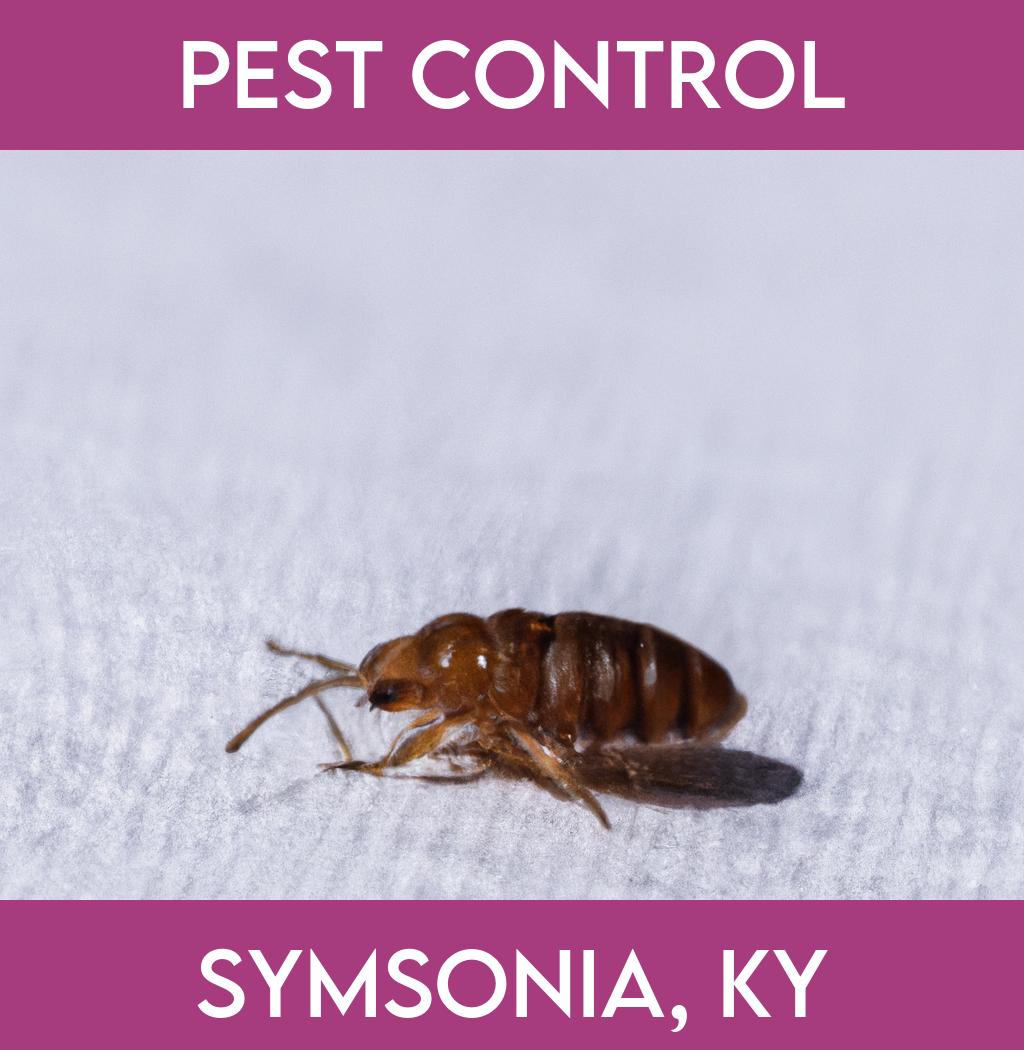 pest control in Symsonia Kentucky