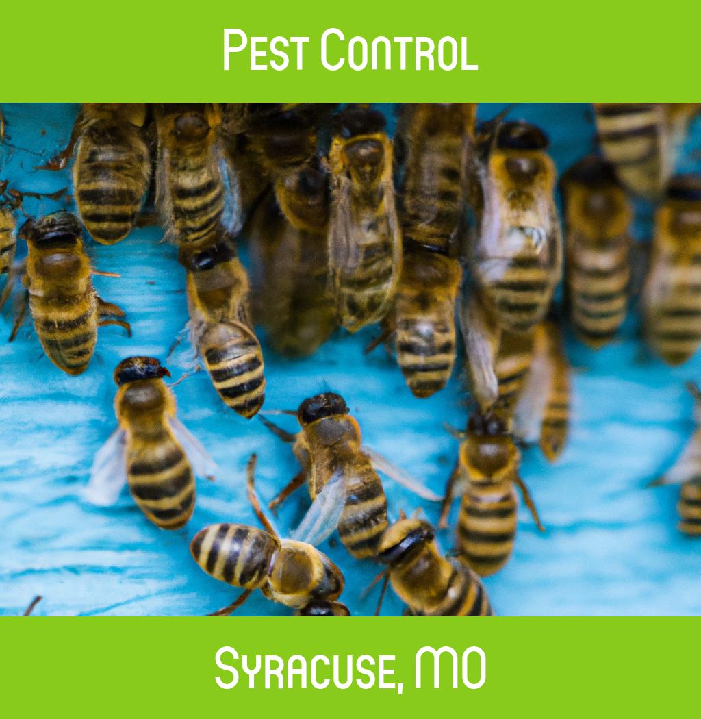 pest control in Syracuse Missouri