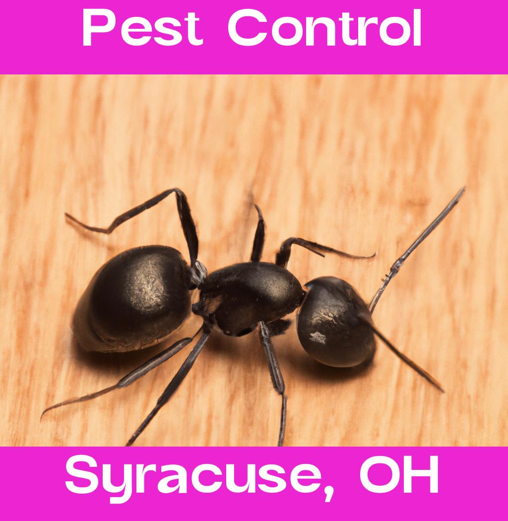 pest control in Syracuse Ohio