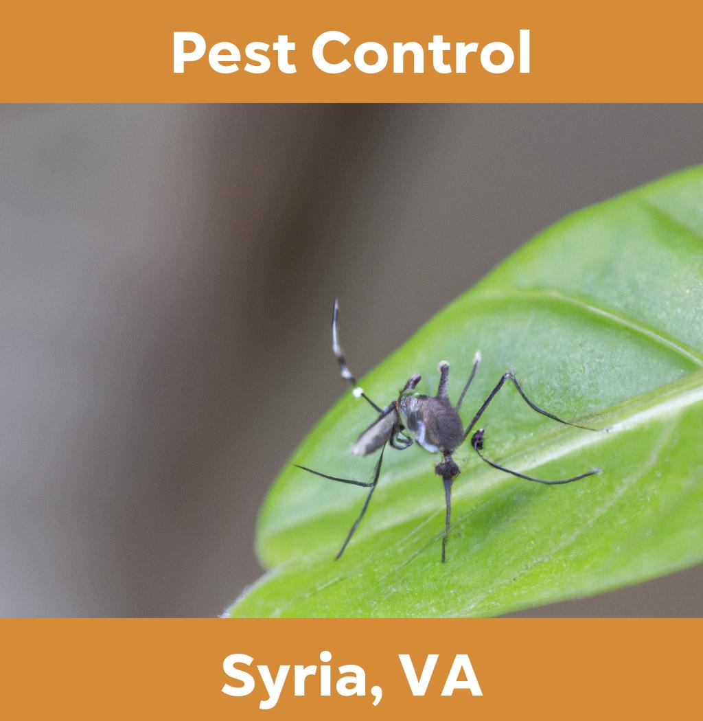pest control in Syria Virginia