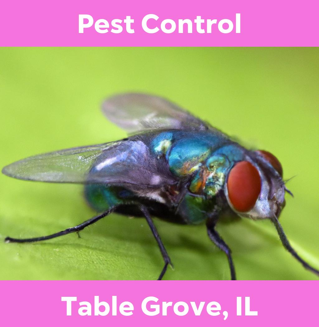 pest control in Table Grove Illinois
