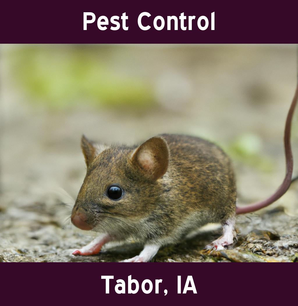 pest control in Tabor Iowa