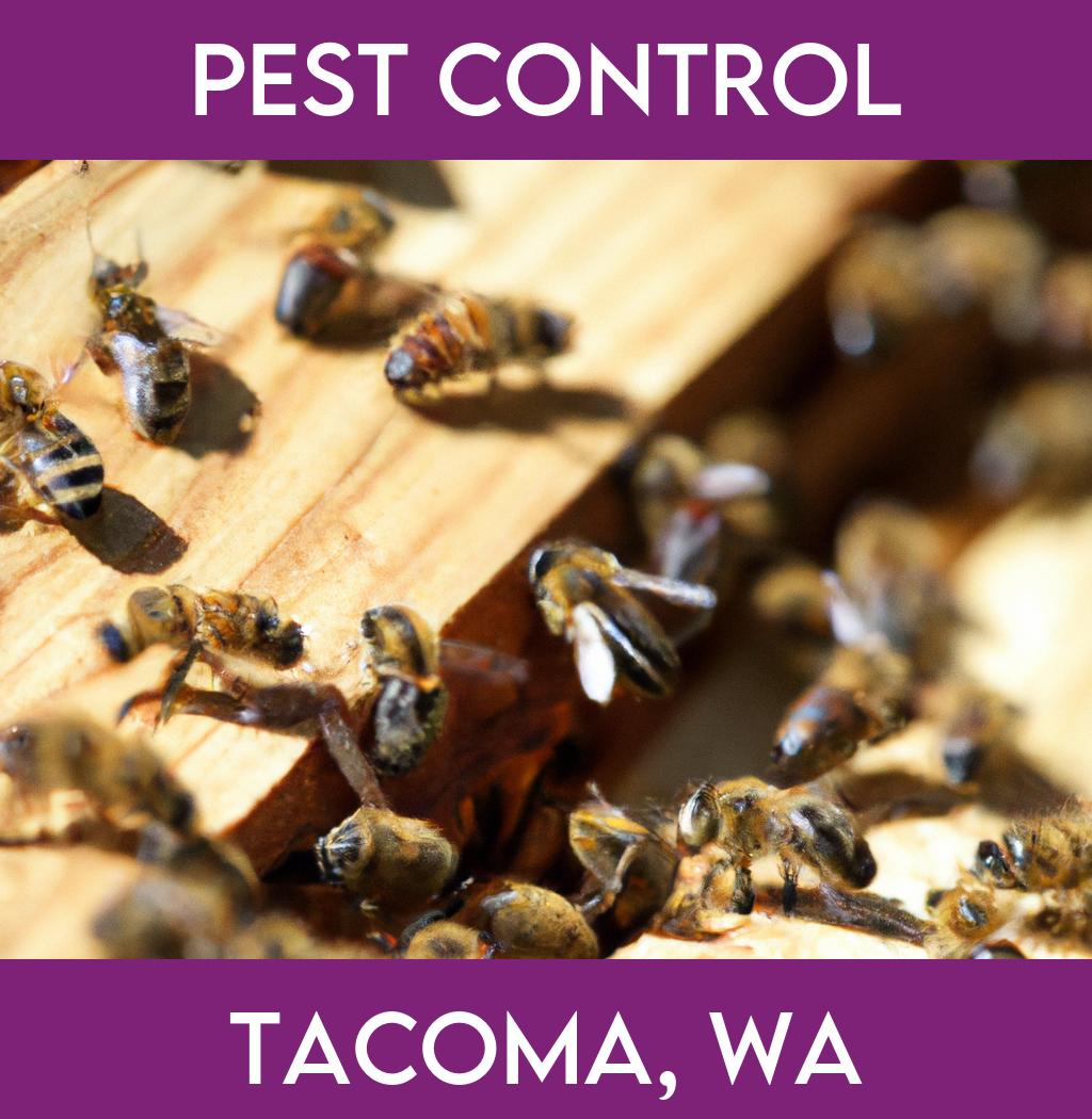 pest control in Tacoma Washington