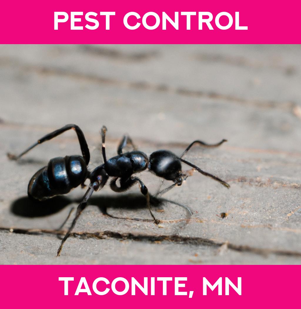 pest control in Taconite Minnesota