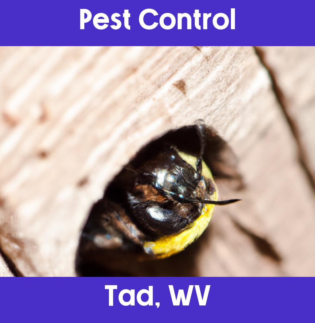 pest control in Tad West Virginia