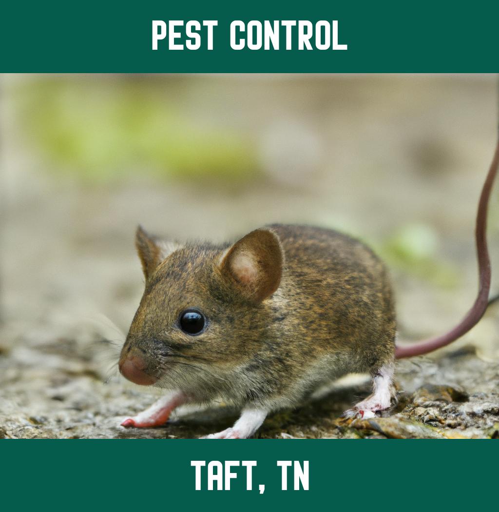 pest control in Taft Tennessee