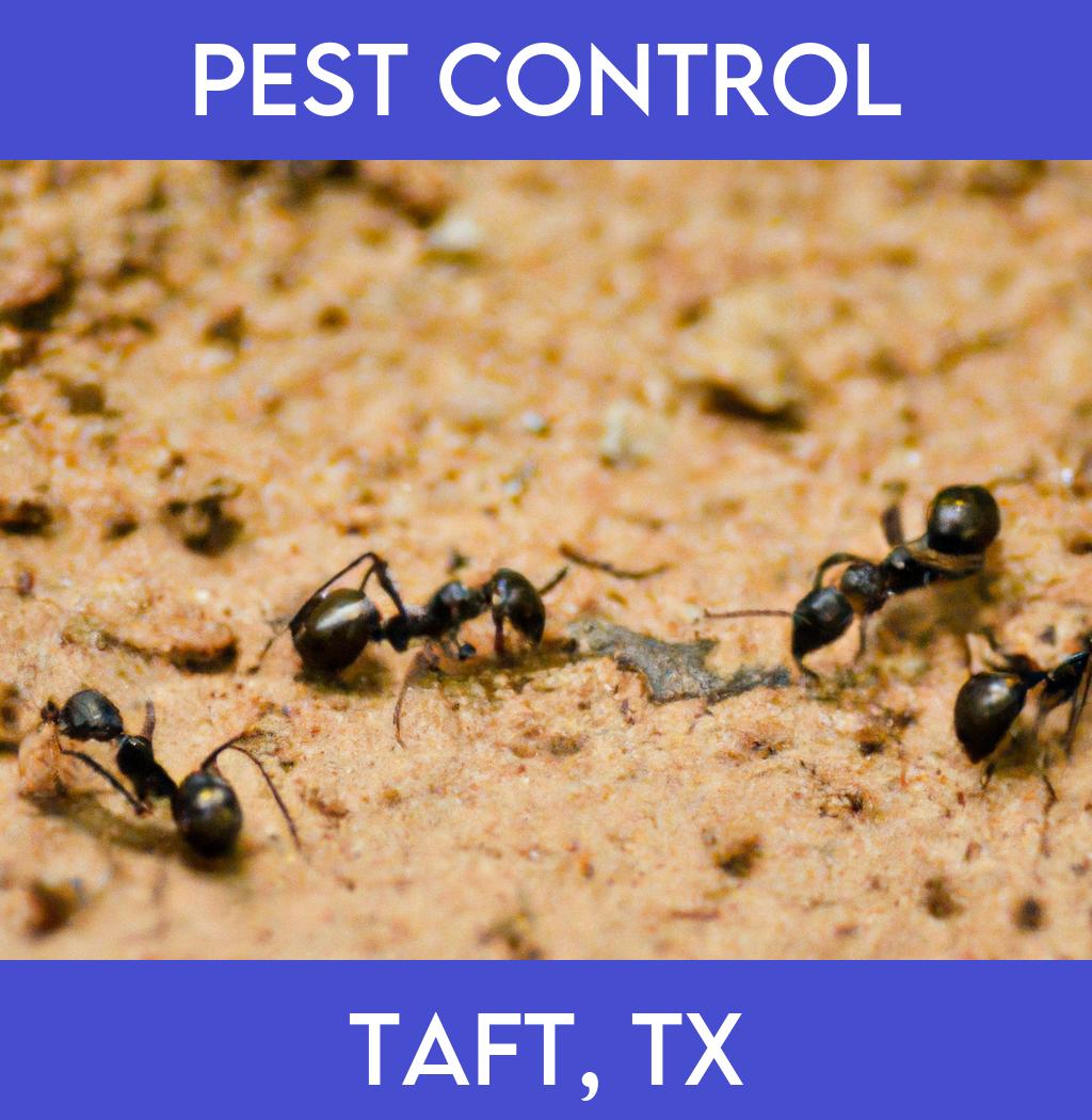 pest control in Taft Texas