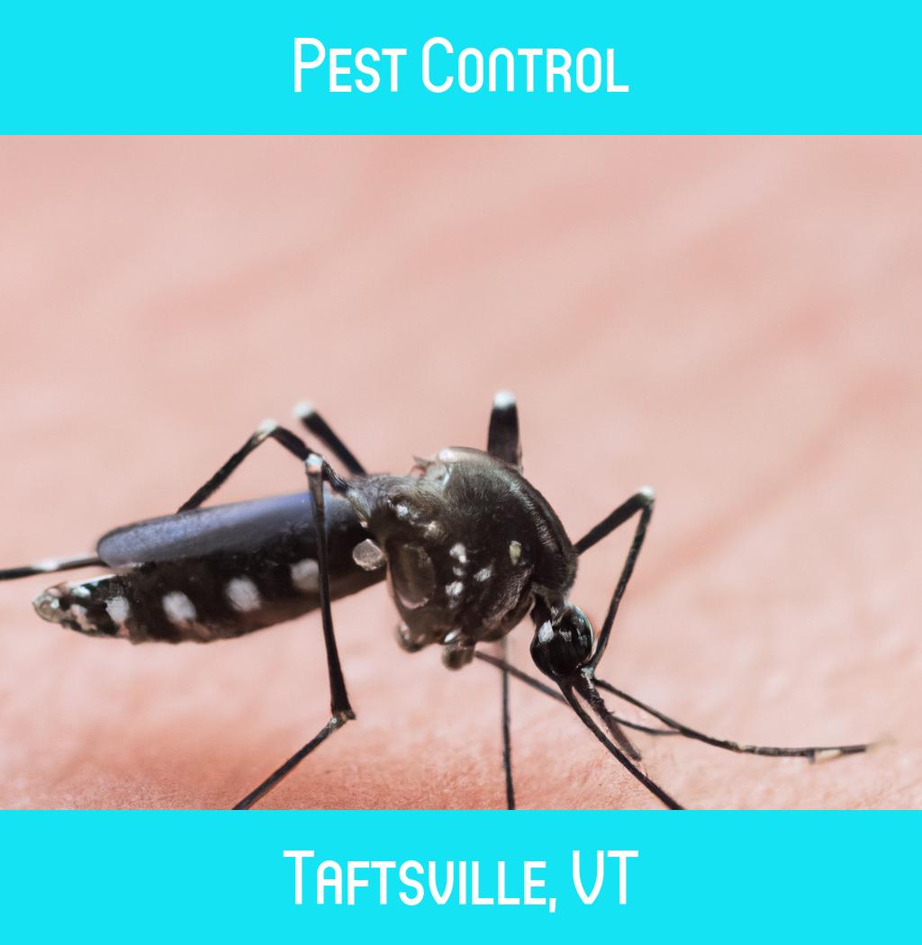 pest control in Taftsville Vermont