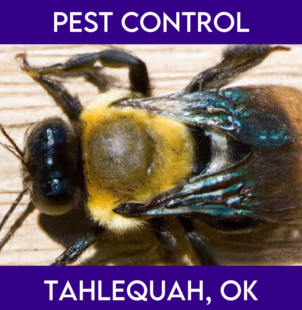 pest control in Tahlequah Oklahoma