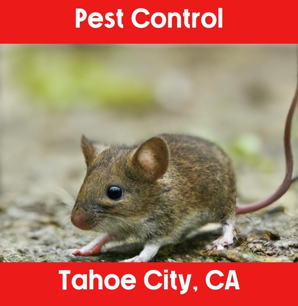 pest control in Tahoe City California