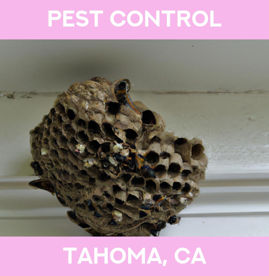 pest control in Tahoma California