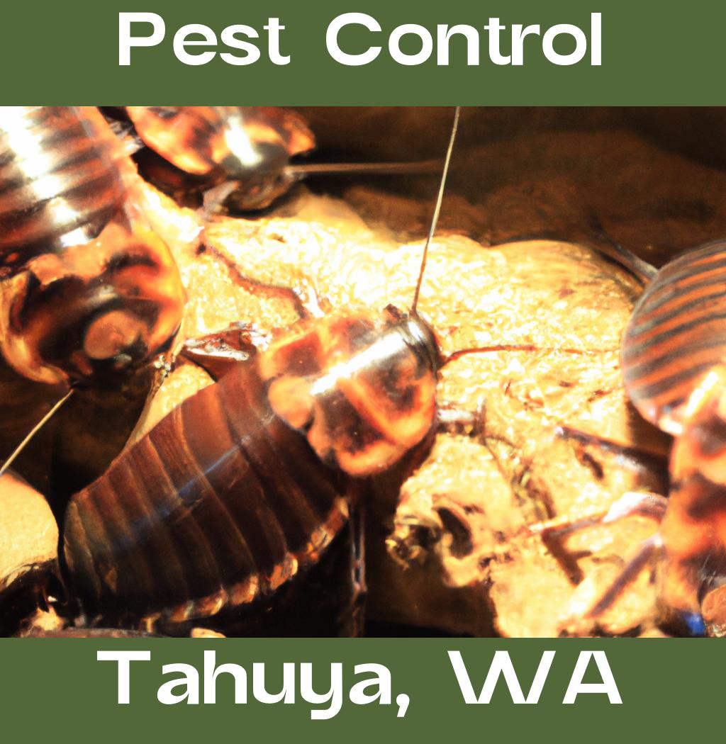 pest control in Tahuya Washington