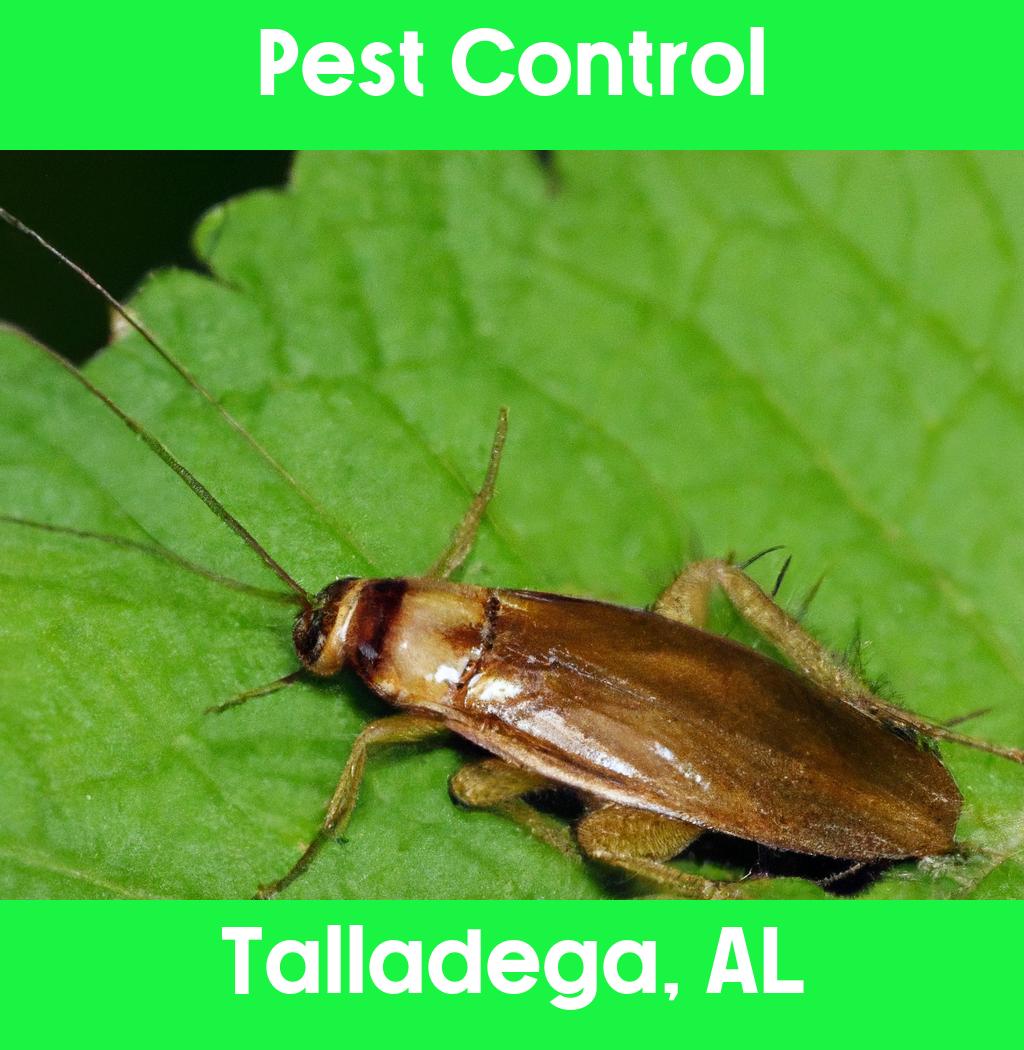 pest control in Talladega Alabama