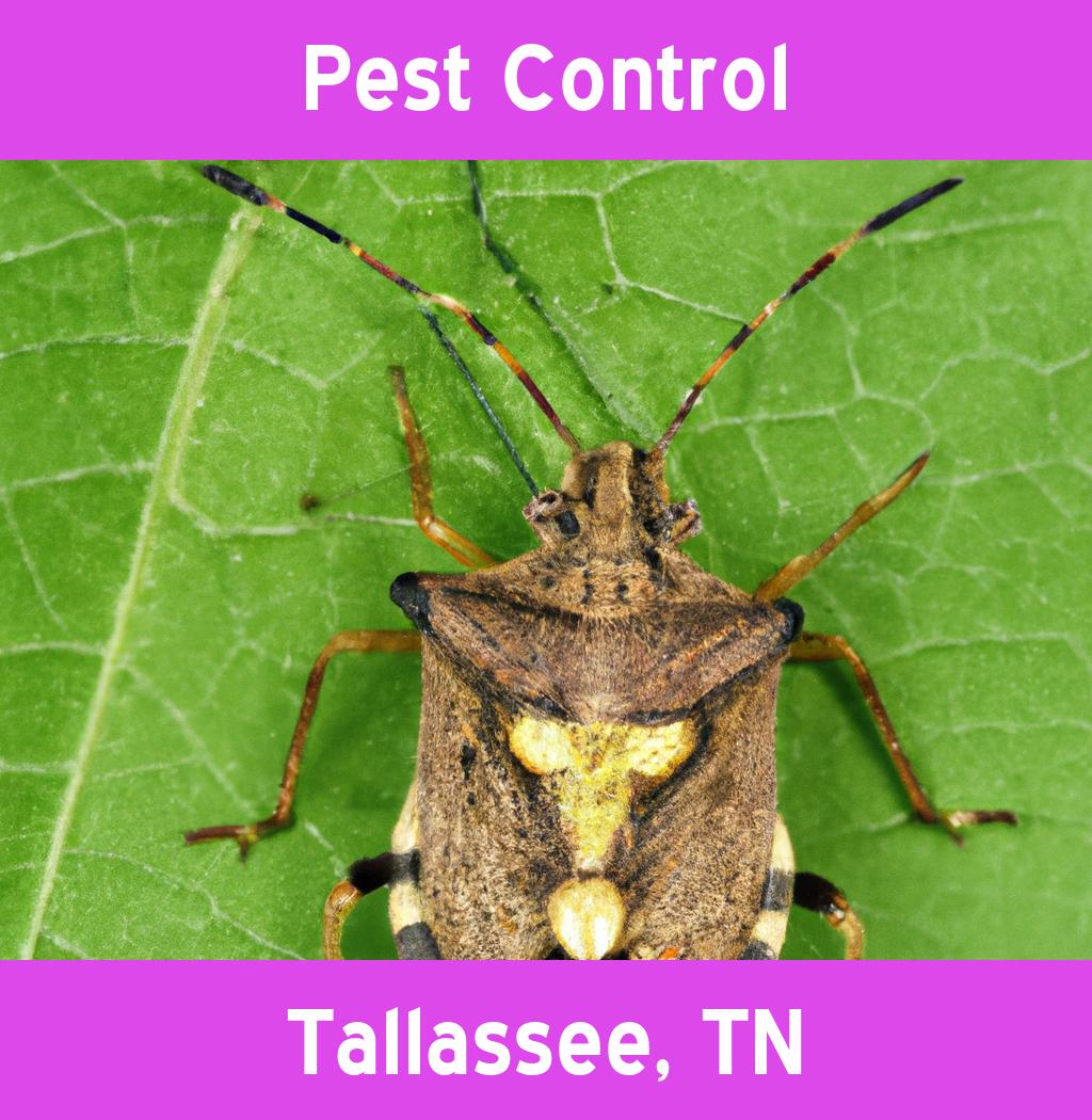 pest control in Tallassee Tennessee