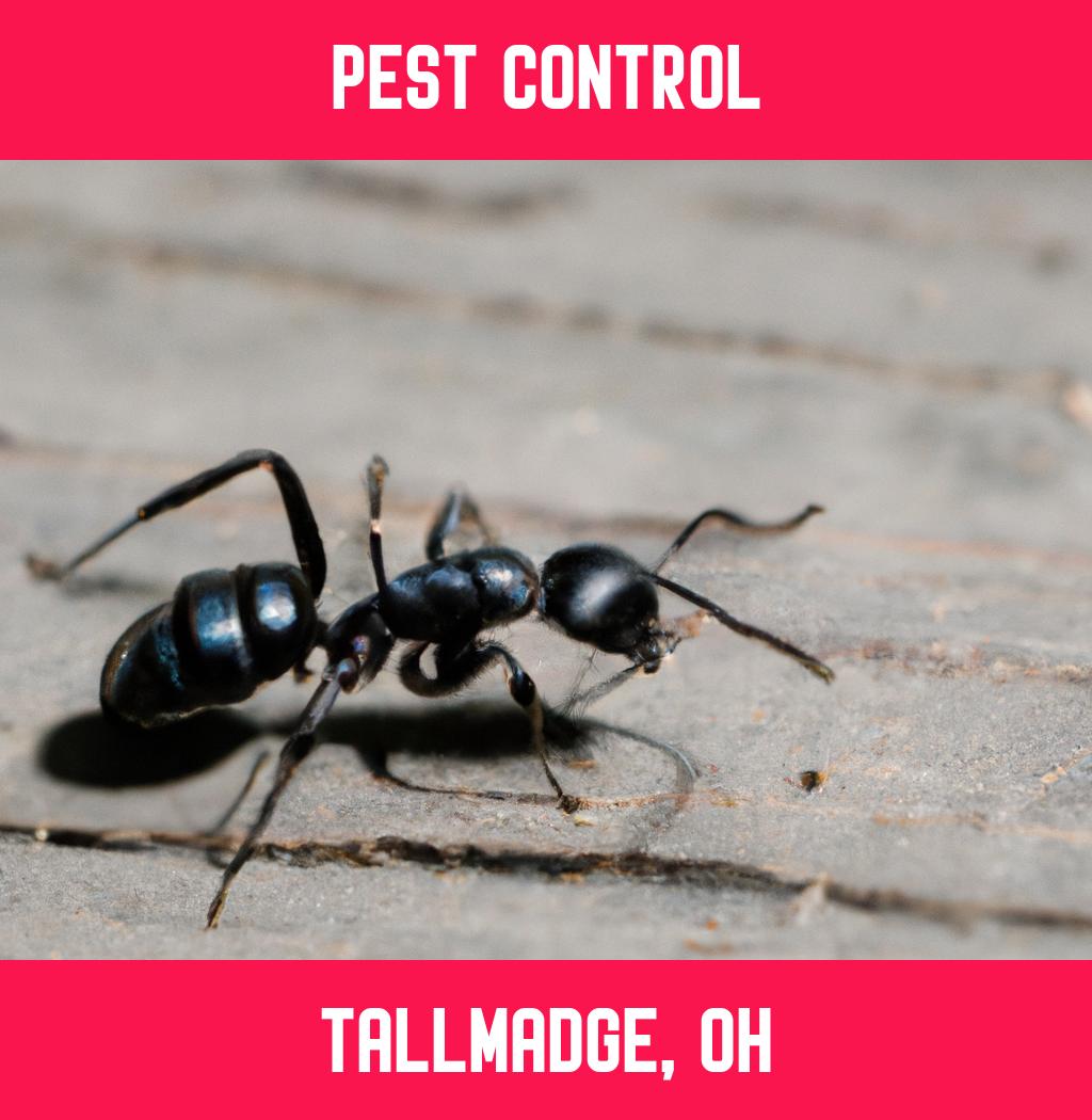 pest control in Tallmadge Ohio
