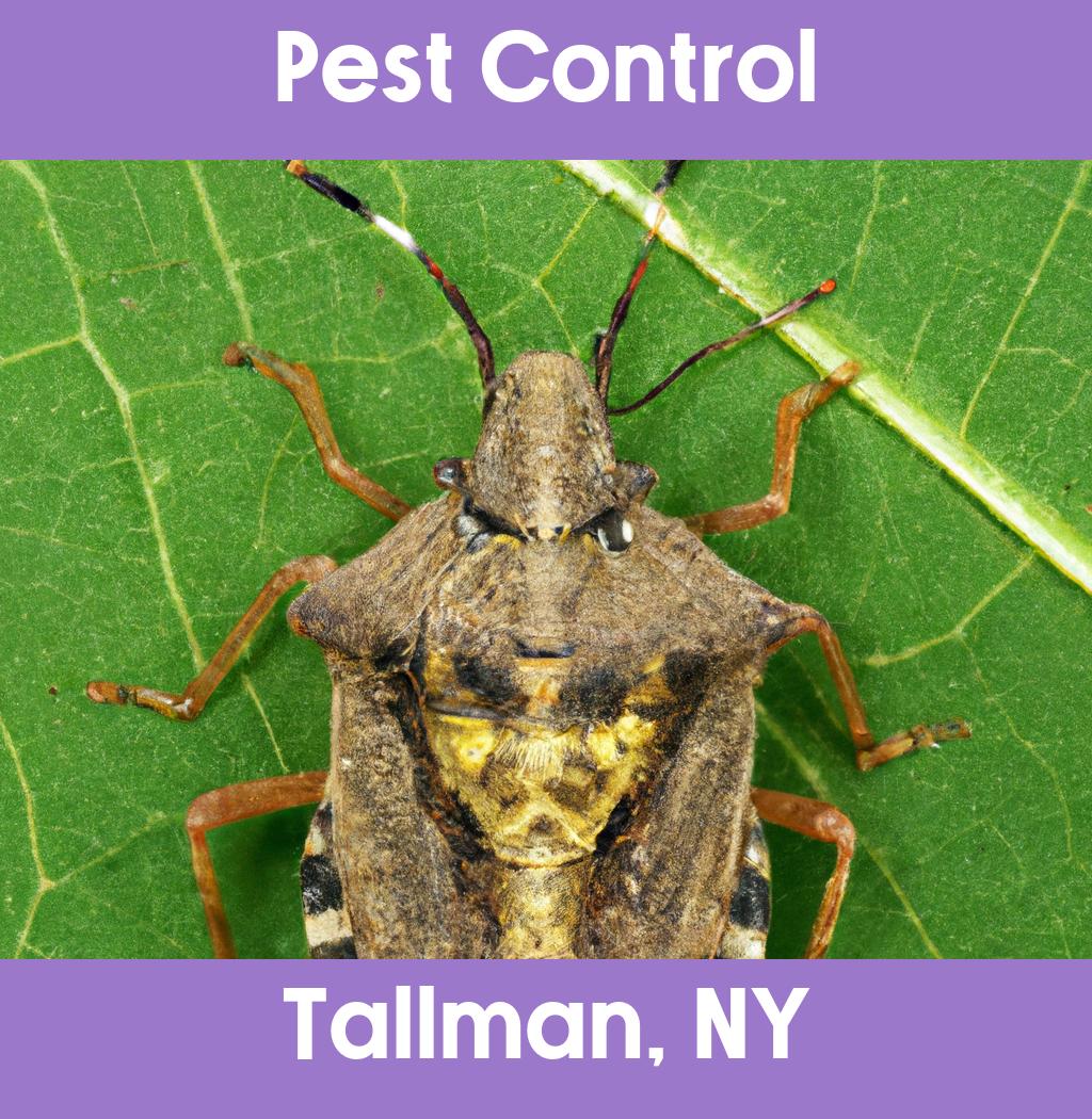pest control in Tallman New York