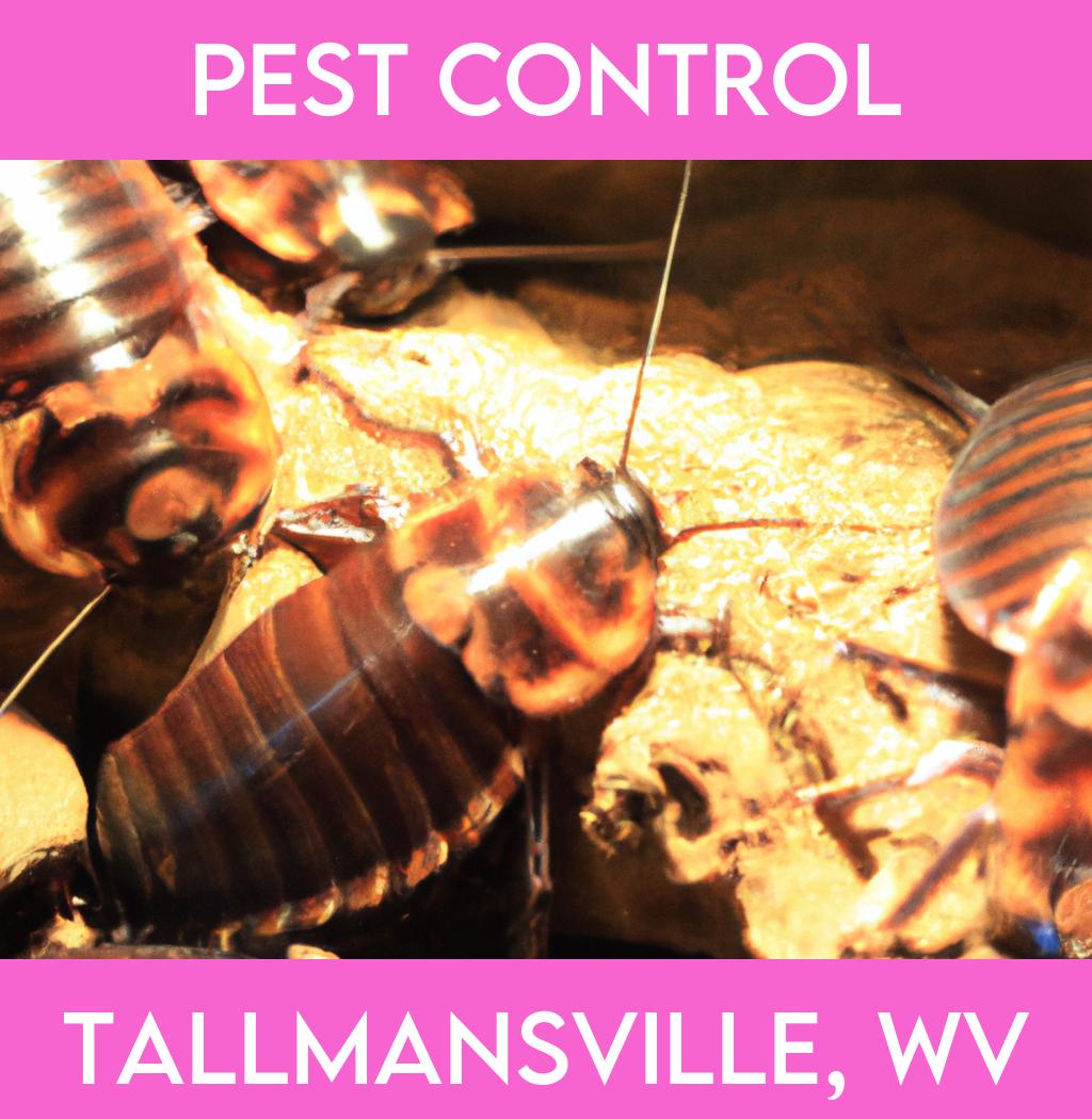 pest control in Tallmansville West Virginia