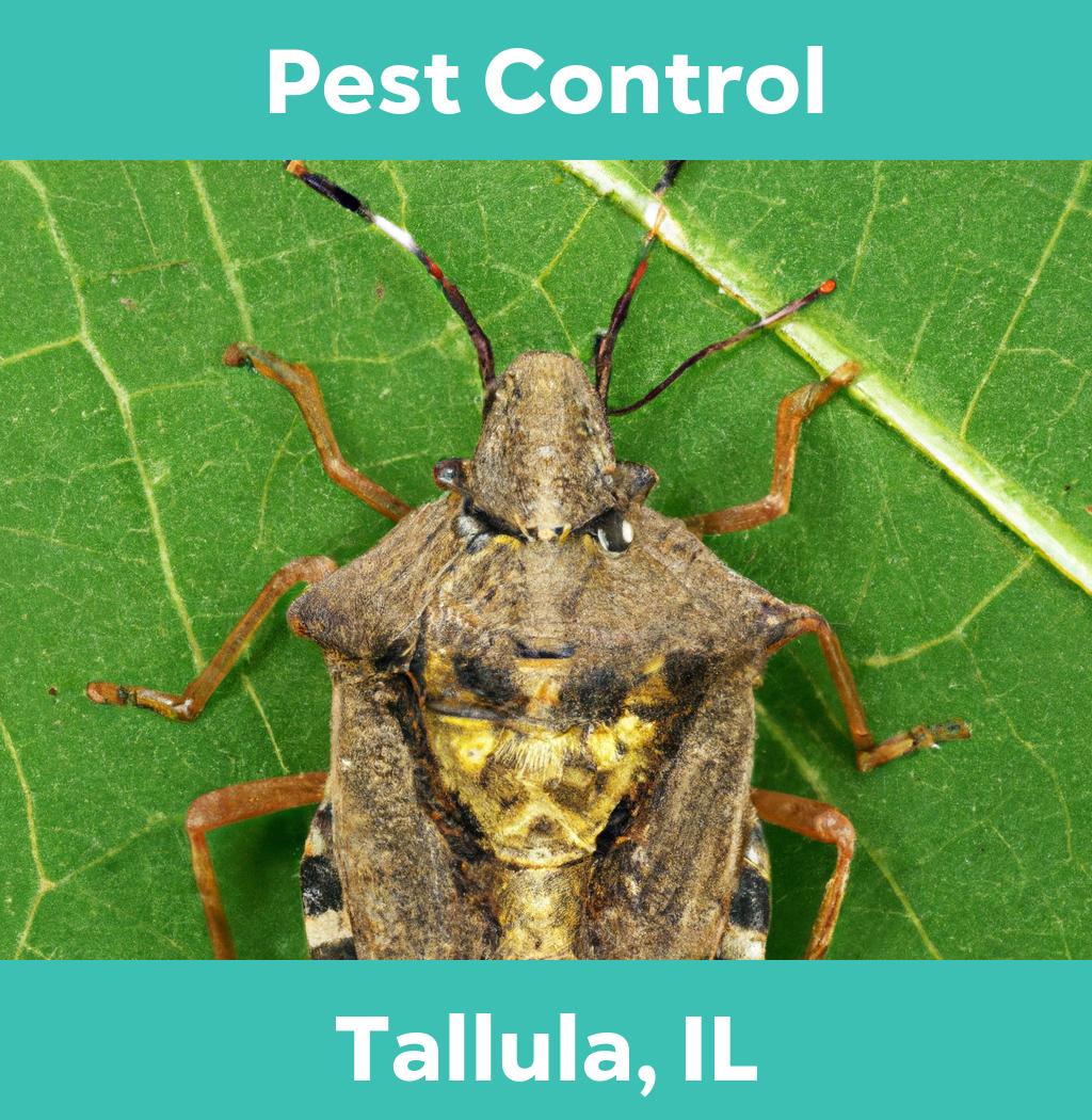 pest control in Tallula Illinois