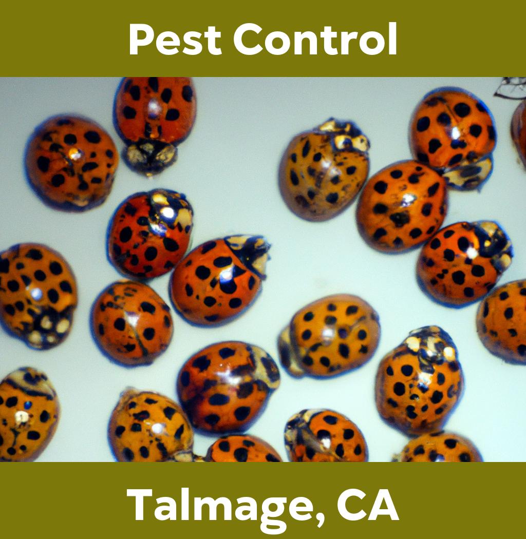 pest control in Talmage California