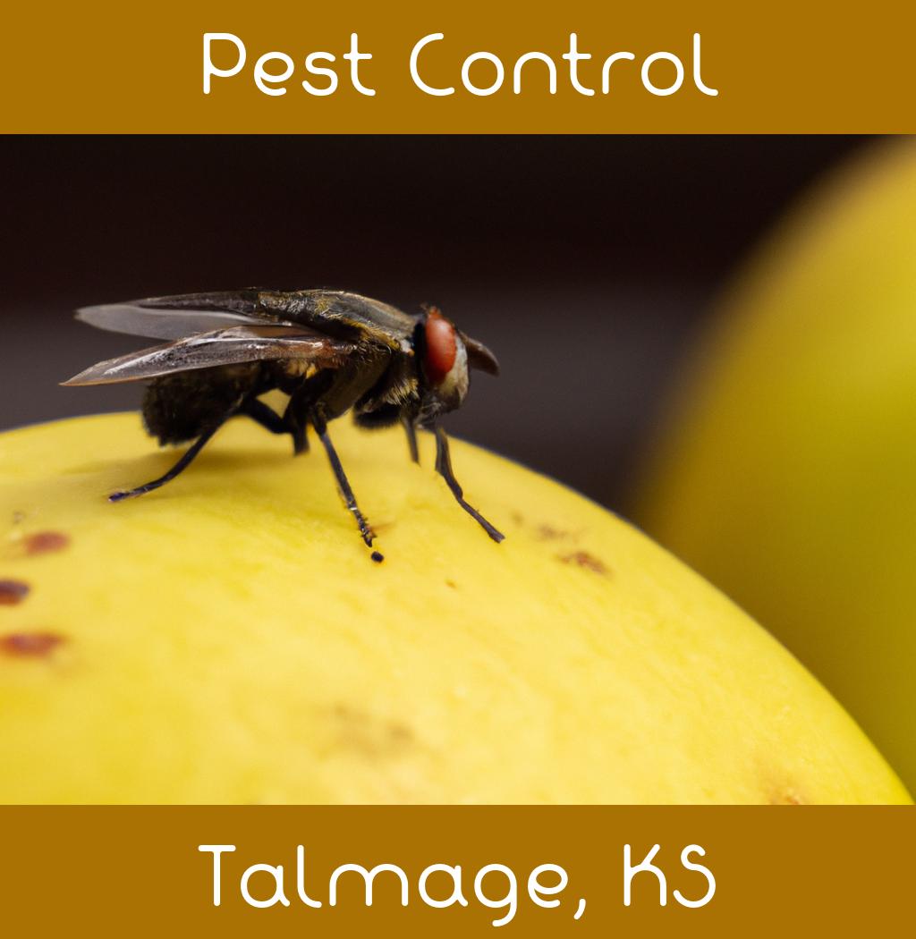 pest control in Talmage Kansas