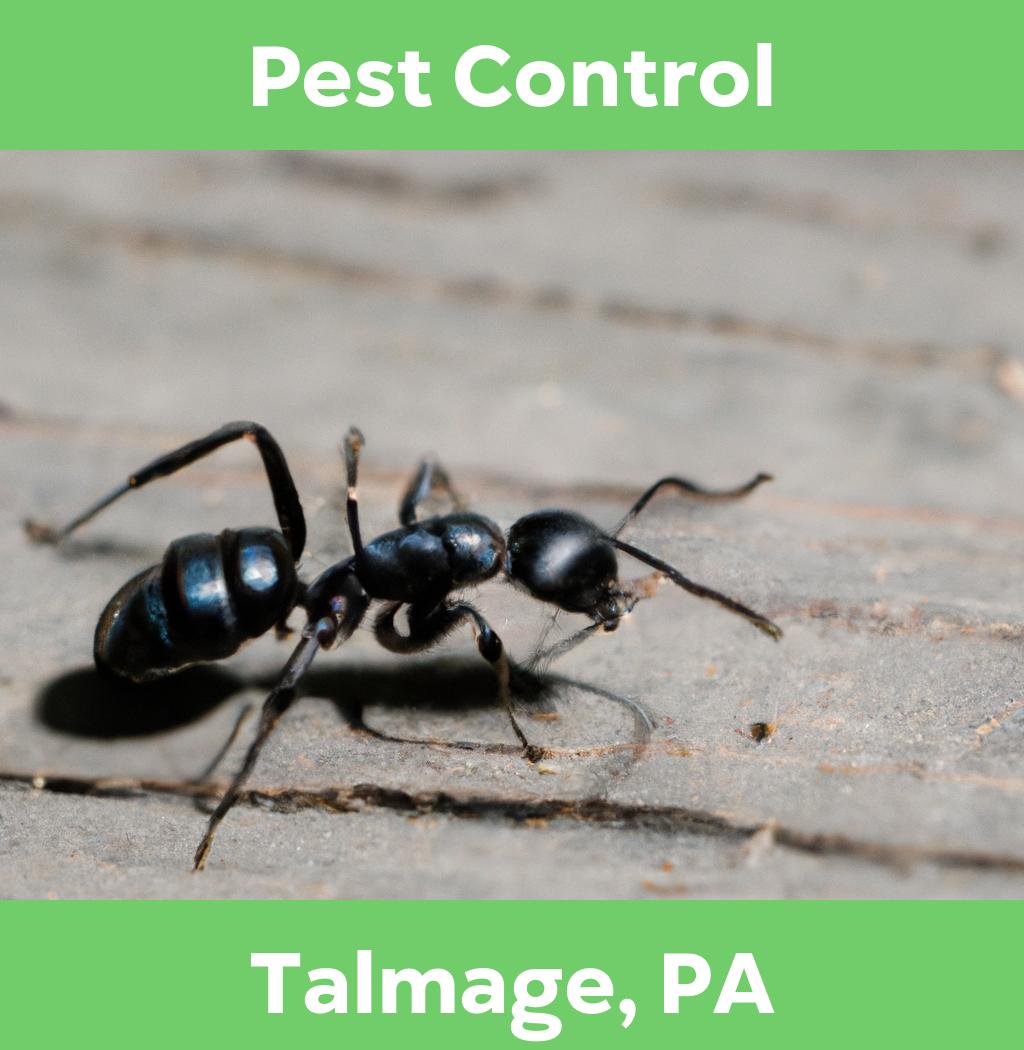 pest control in Talmage Pennsylvania