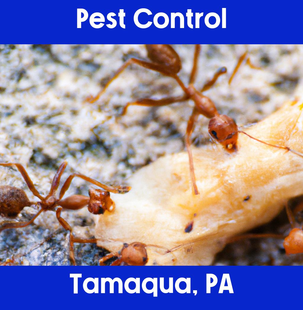pest control in Tamaqua Pennsylvania