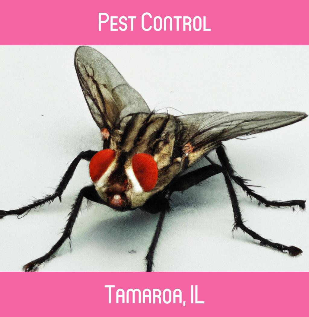 pest control in Tamaroa Illinois