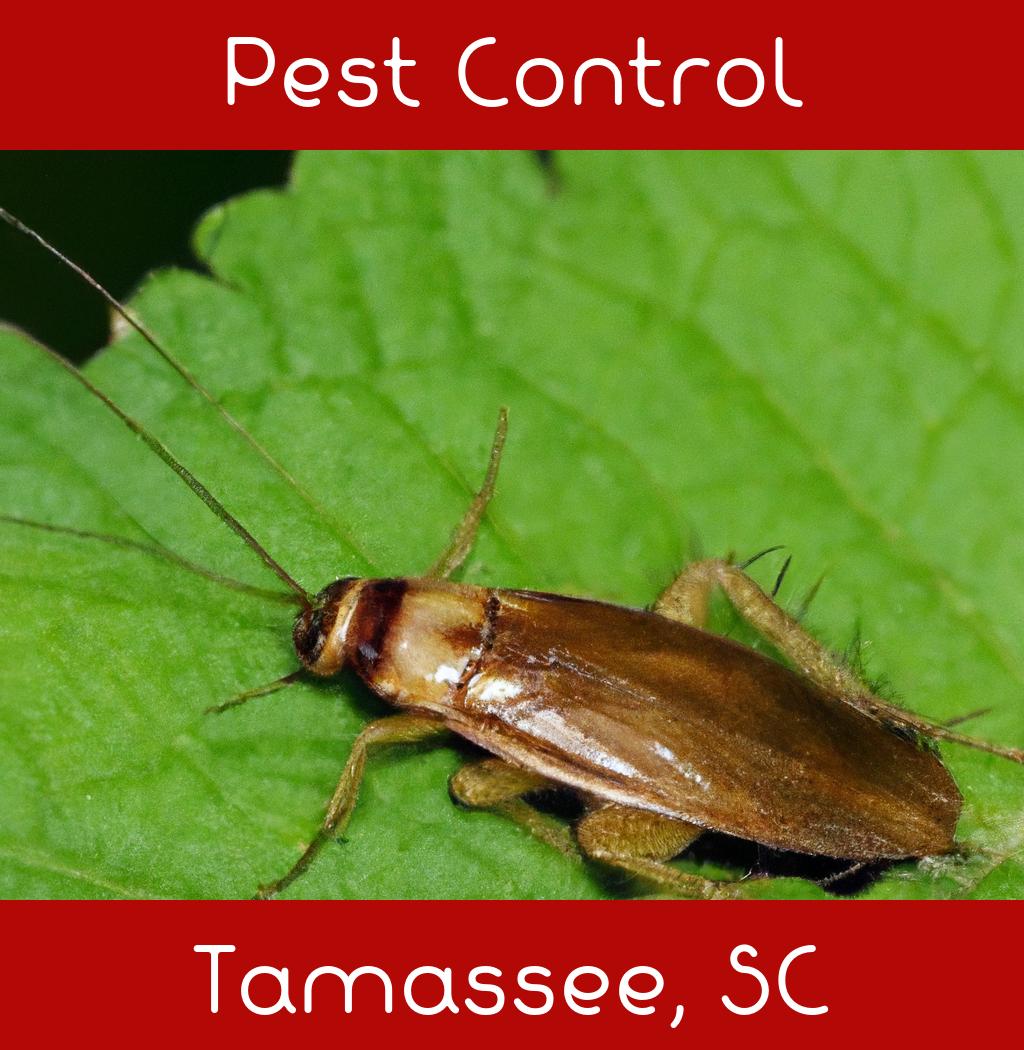 pest control in Tamassee South Carolina