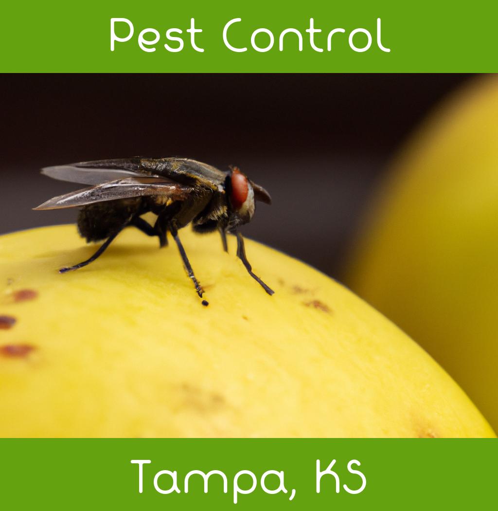 pest control in Tampa Kansas