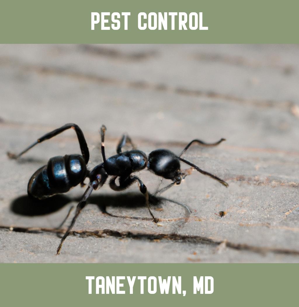 pest control in Taneytown Maryland