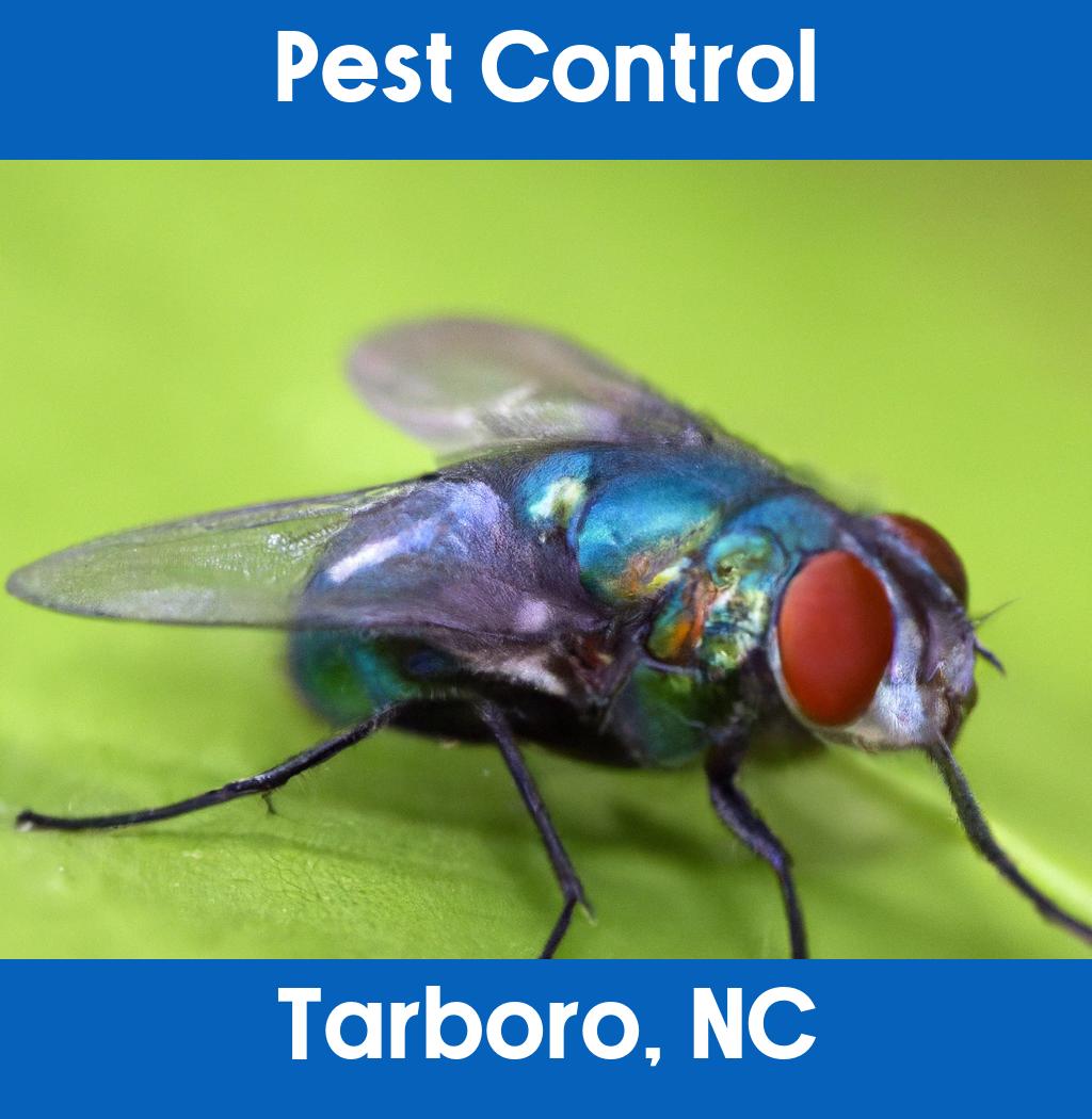 pest control in Tarboro North Carolina