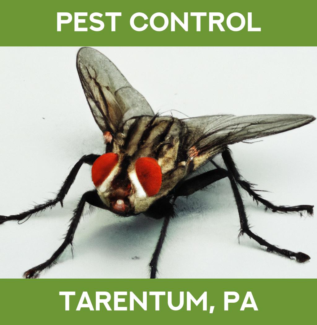pest control in Tarentum Pennsylvania