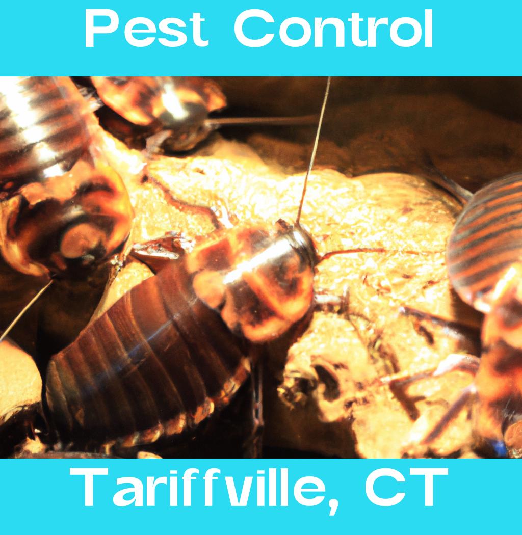 pest control in Tariffville Connecticut