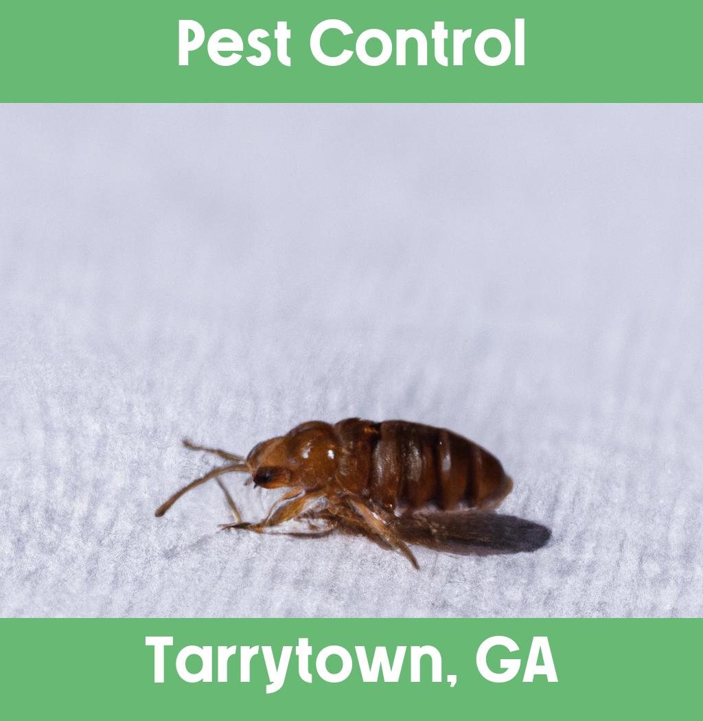 pest control in Tarrytown Georgia