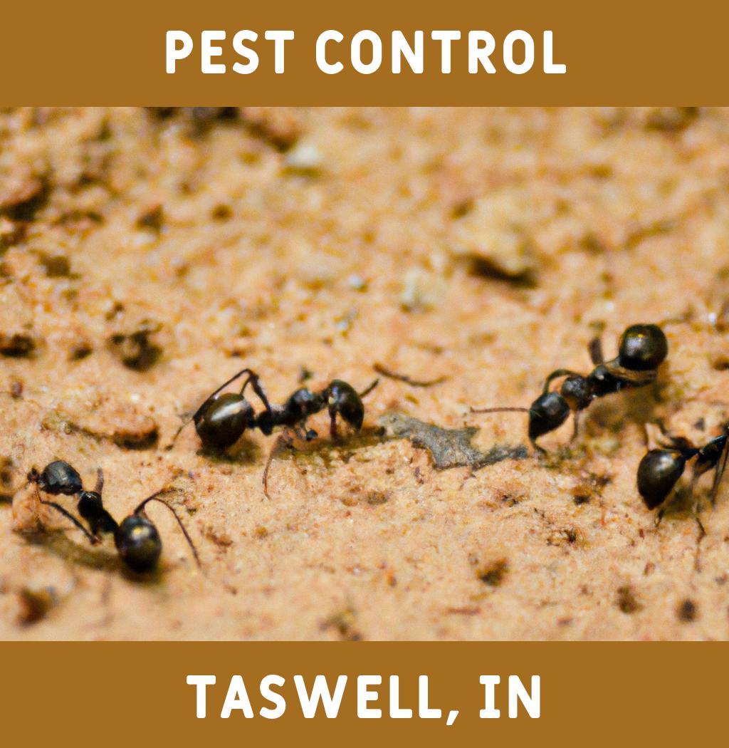 pest control in Taswell Indiana