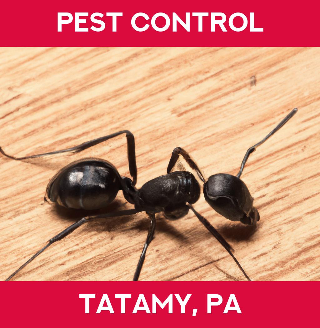 pest control in Tatamy Pennsylvania