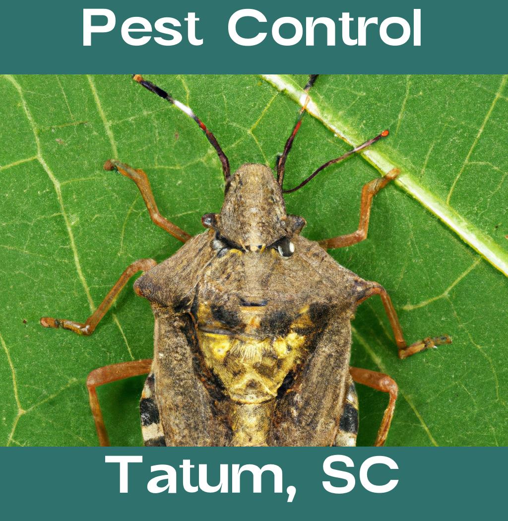 pest control in Tatum South Carolina
