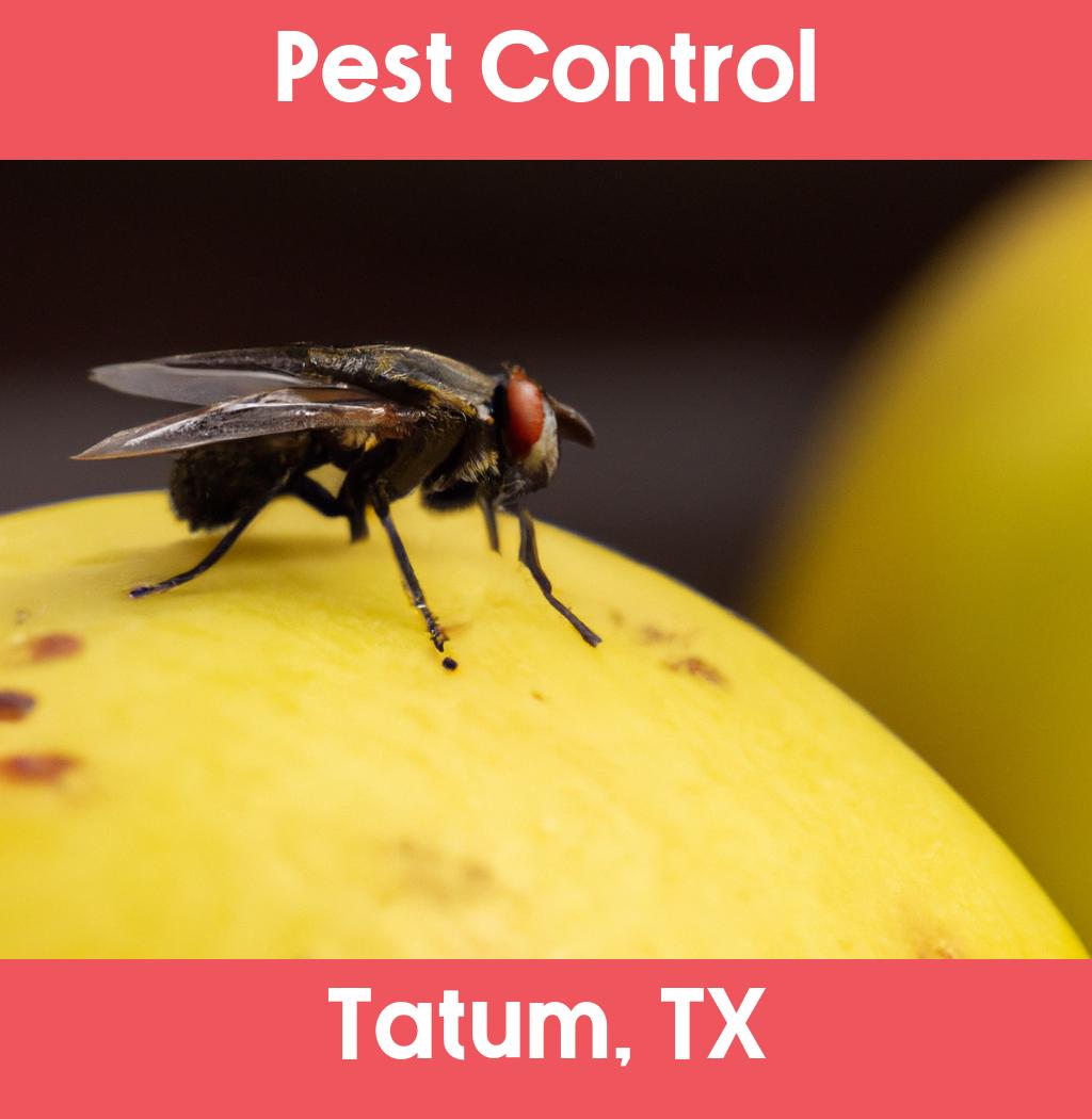 pest control in Tatum Texas