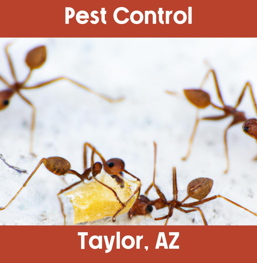 pest control in Taylor Arizona